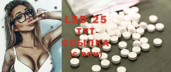 прущие грибы Инта