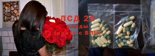 прущие грибы Инта