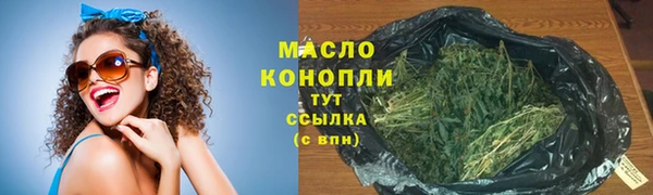 прущие грибы Инта