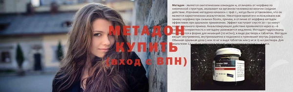 прущие грибы Инта