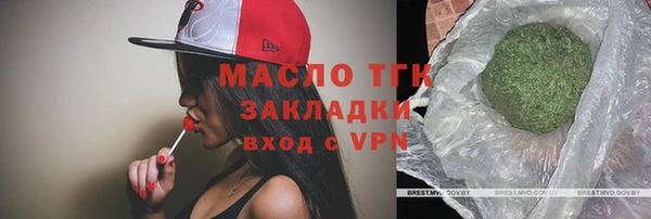 прущие грибы Инта