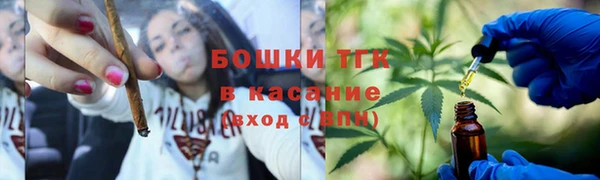 2c-b Инсар
