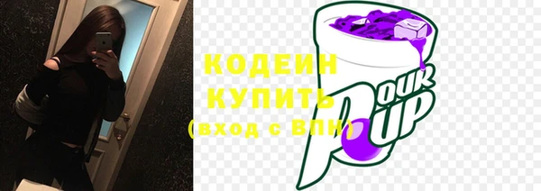 2c-b Инсар
