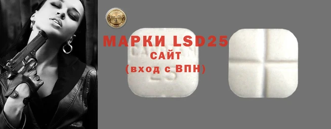 2c-b Инсар