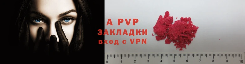 прущие грибы Инта