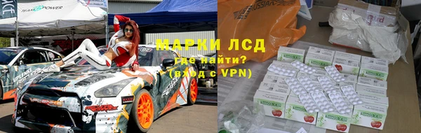 прущие грибы Инта