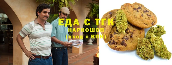 прущие грибы Инта
