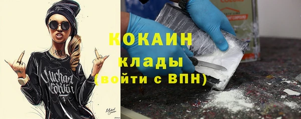 твердый Иннополис