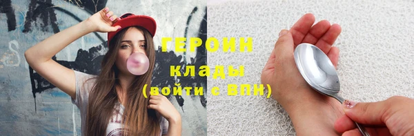 прущие грибы Инта