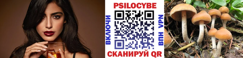 Купить где  Купино  Псилоцибиновые грибы GOLDEN TEACHER 