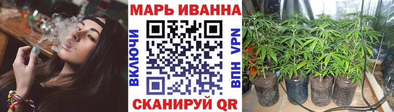 Бошки Шишки план  Купить где  Купино 